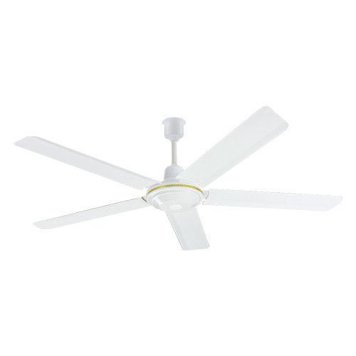 CF-4803 48inch 70W