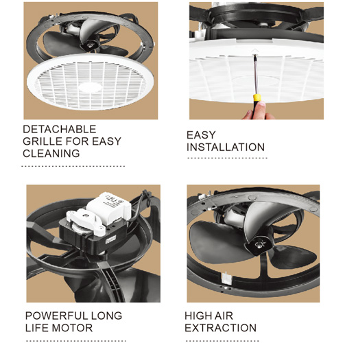 CSEX250TW, 10 Inch, 38W