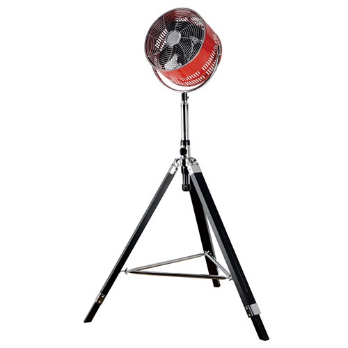 FZ-30M, 10Inch, 80W